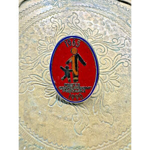 Foster Grandparent Program Lapel Pin Jacket Hat Vest Collectible